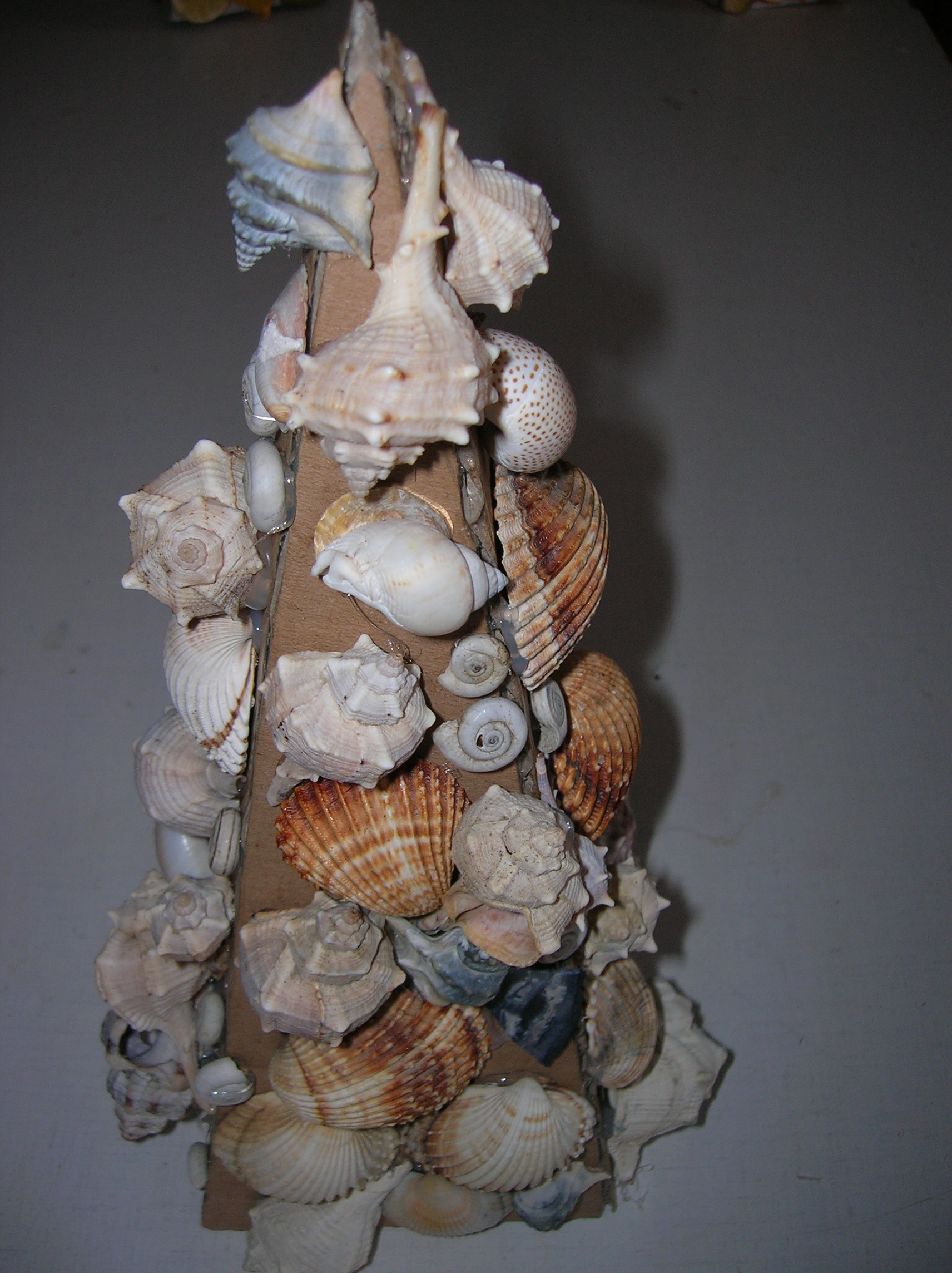 DSCN4530.JPG