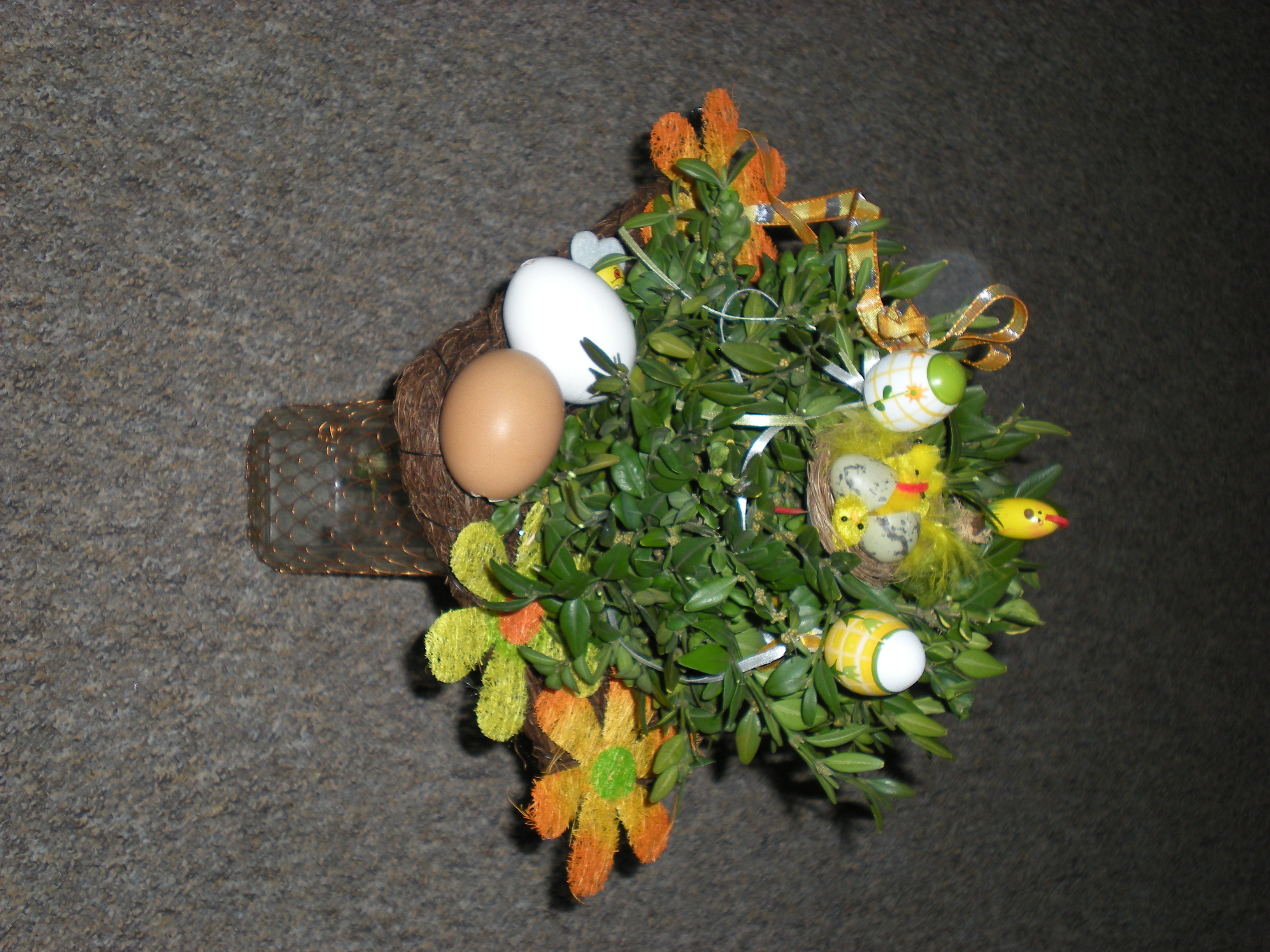 DSCN0495.jpg