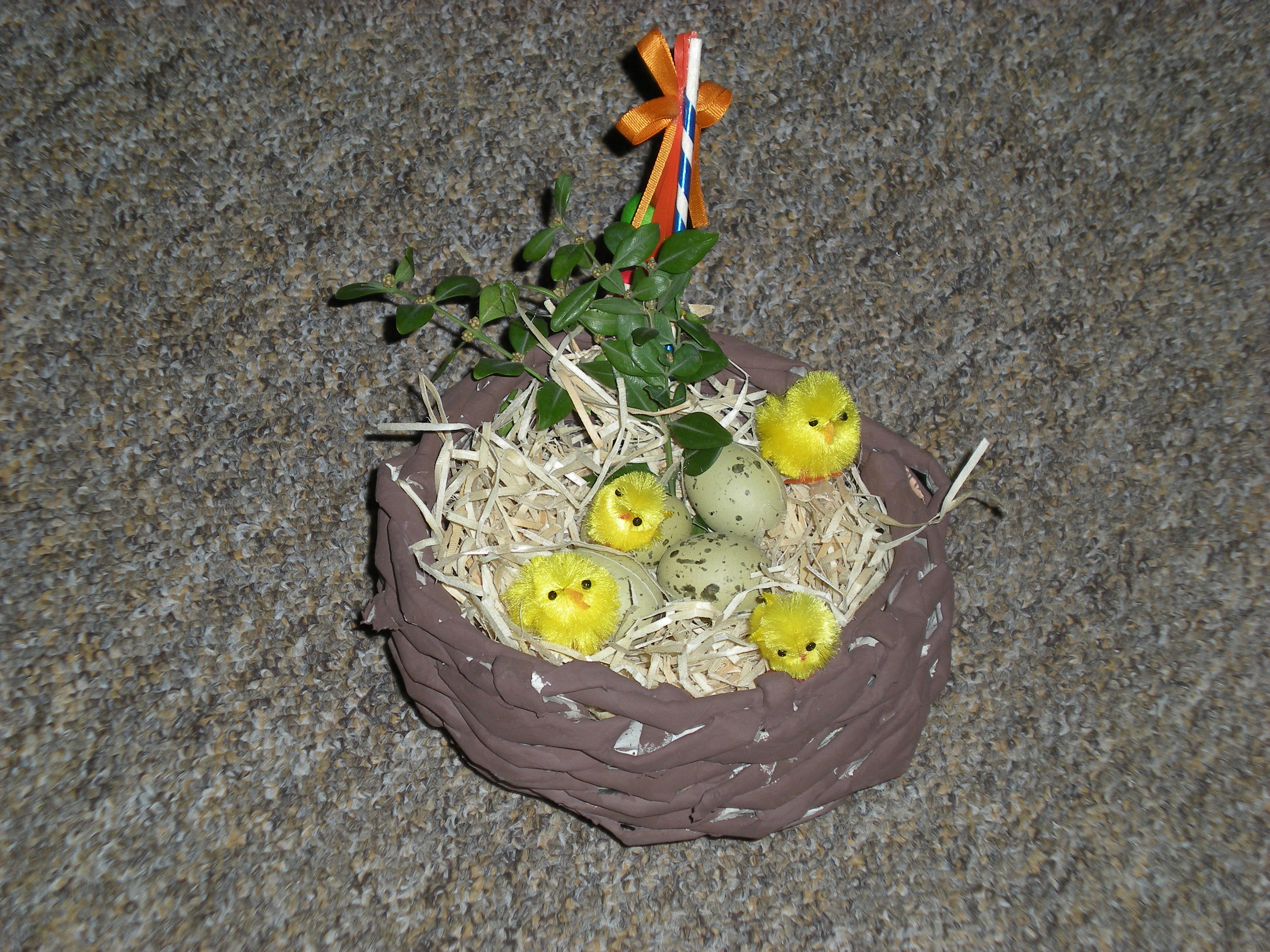 DSCN0500.jpg
